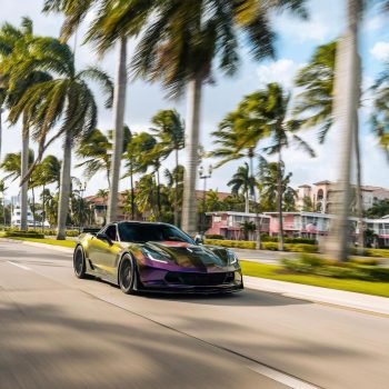 WhatsApp Image 2023-10-28 at 1.10.37 AM